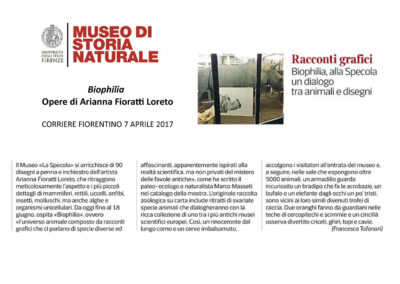 Corriere fiorentino - 7 aprile 2017