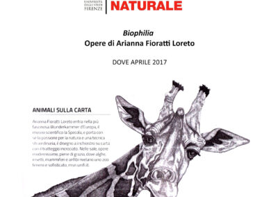 Dove - aprile 2017