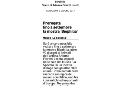 La Nazione - 6 giugno 2017