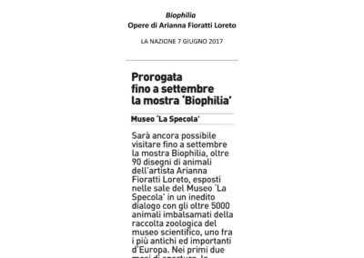 La Nazione - 7 giugno 2017