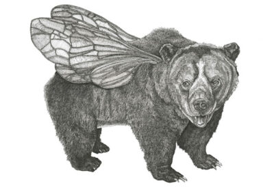 Bumble bear 2023