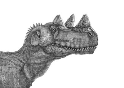 Cetasaurus 2023