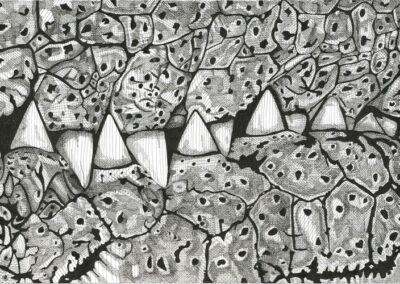 Crocodile