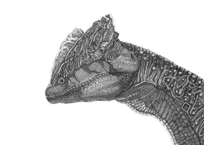 Dilophosaurus 2023