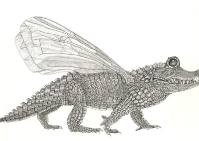 Dragonfly 2022