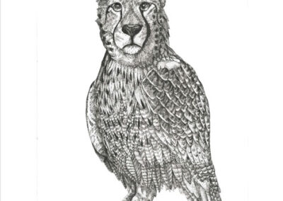 Harpy 2023
