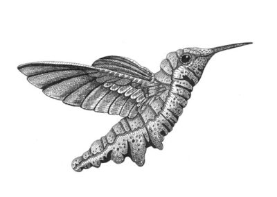Humming pillar 2023