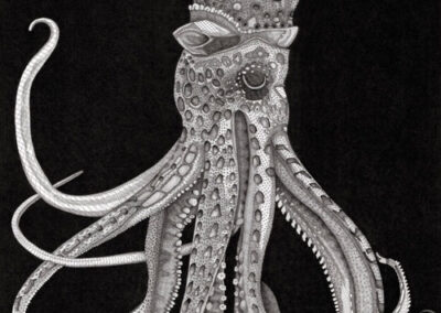 Kraken 2018