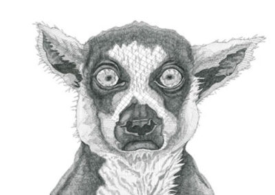 Lemur