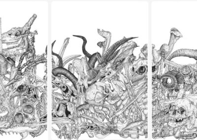 Nest of bone and detribus 2024