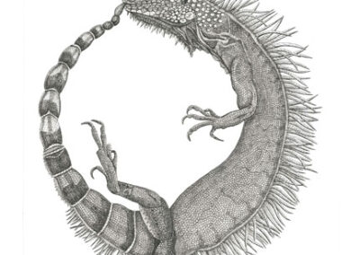 Ouroboras 2022