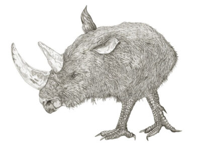 Rhinowi 2022