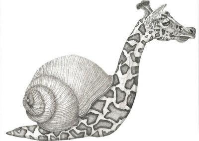 Slow zarafa 2022