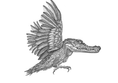 Snapping sparrow 2023