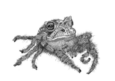 Tarantula 2024
