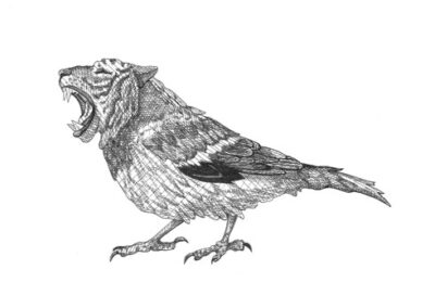 Tiger sparrow 2023