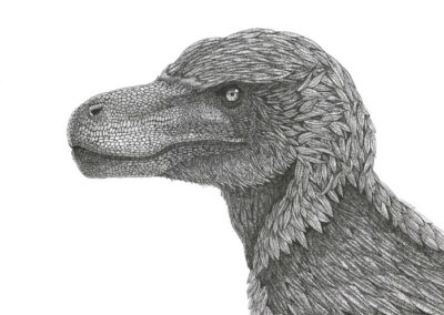 Utahraptor 2023