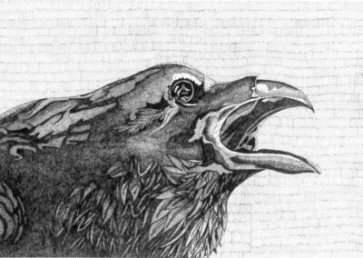 Crow 2016