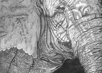 Elephant 2016