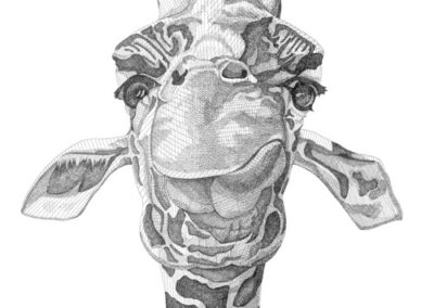 Funny giraffe 2017