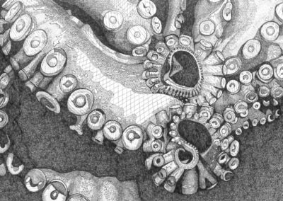 Octopus tentacles 2015