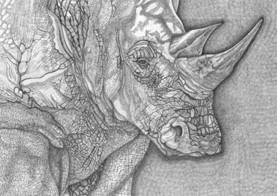 Rinoceros 2016