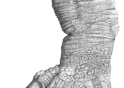 Hippopotamus foot 2017